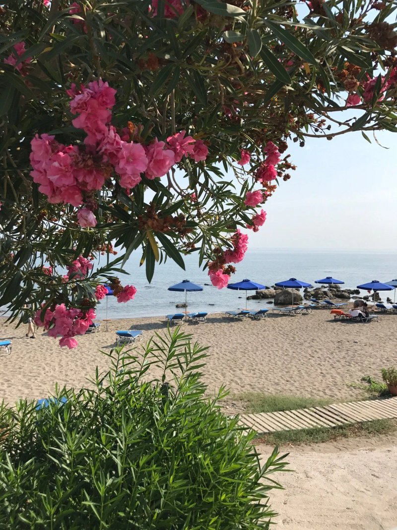 Elpida Beach Studios