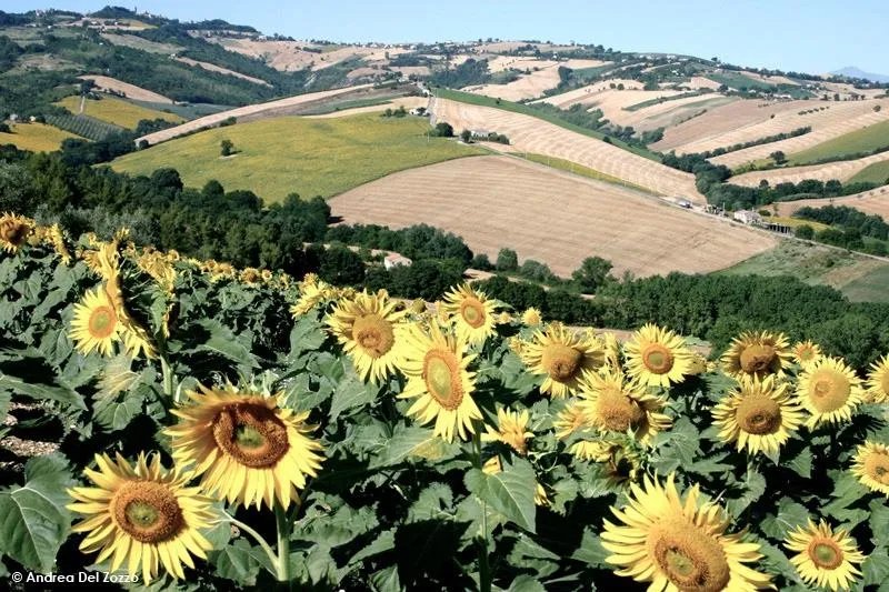 Agriturismo Levandara