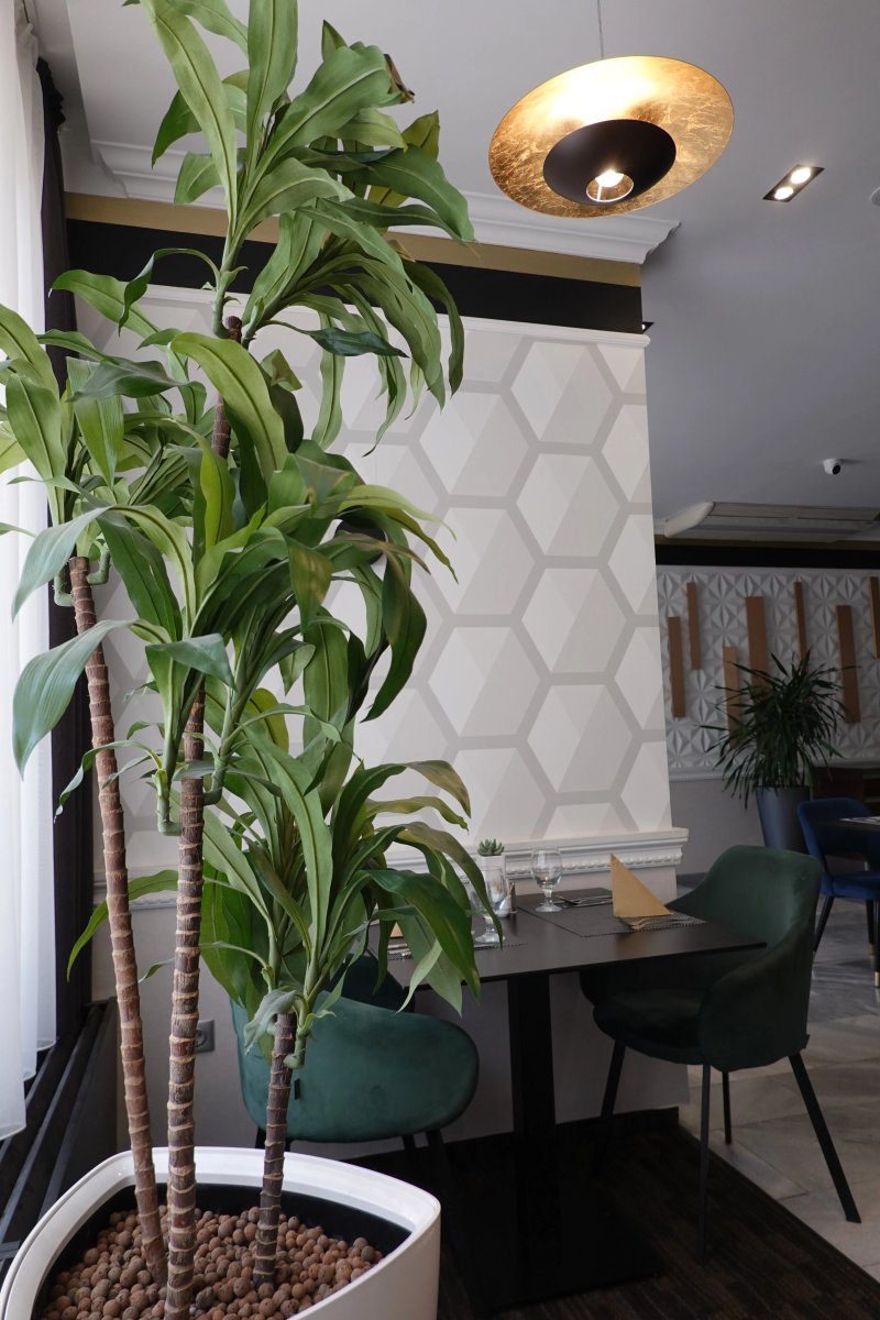 Restaurant of the Hotel Bodrog Wellness & Elix Spa
