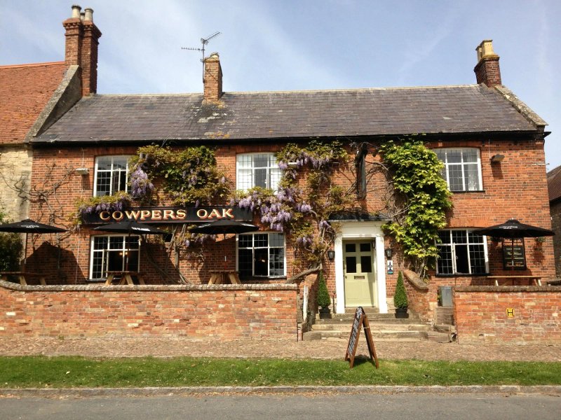 Cowpers Oak