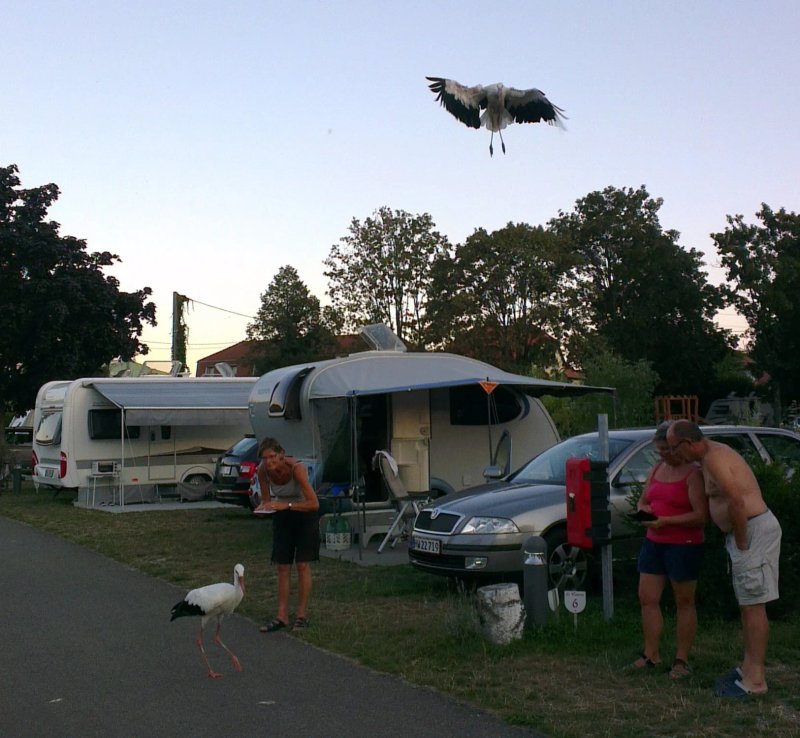 Camping le Medieval