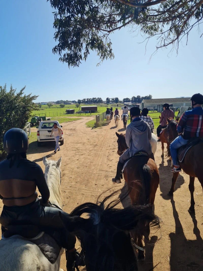 Equine Sport Center