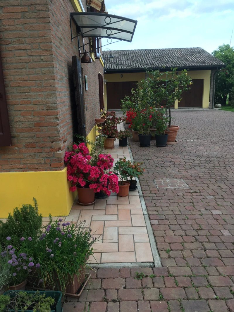 B&B Le Noci di Feo