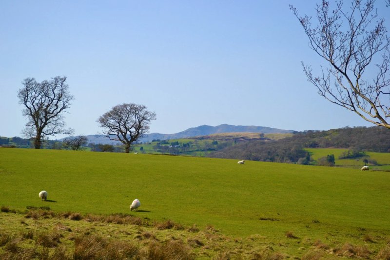 Pen y Bont Caravan and Camping Park