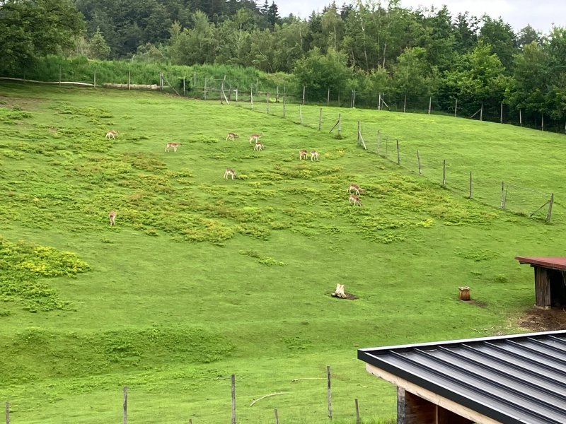 Landhotel Neuhof