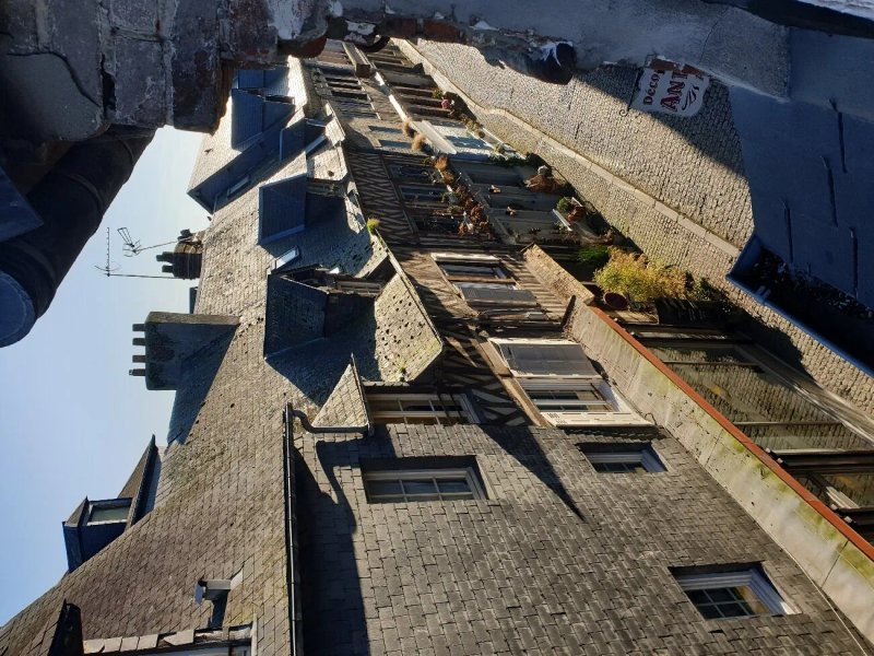 Hotel du Dauphin et Des Loges