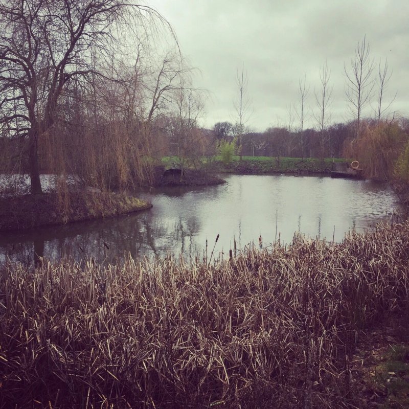 Rumbolds Farm