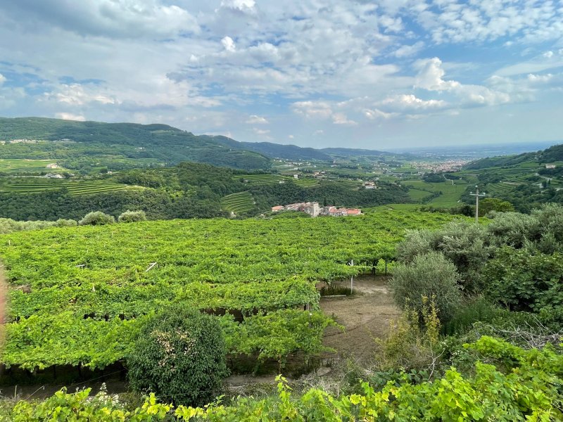 Villa Allegri Agriturismo Di Charme