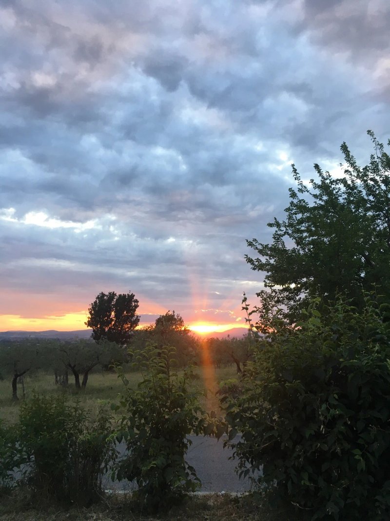 Country House Poggio Fiorito