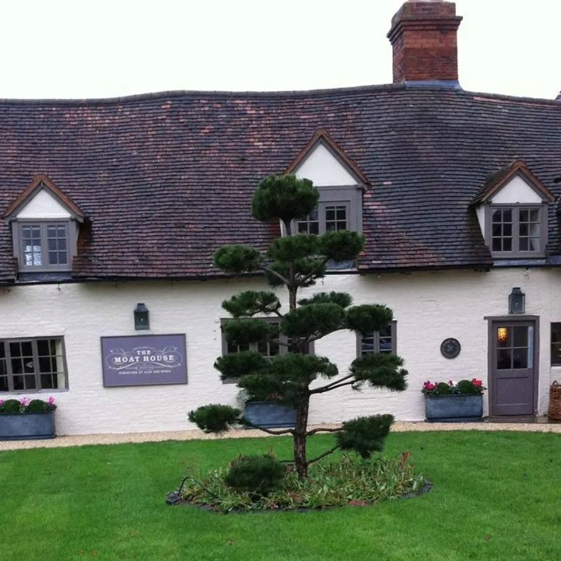 The Moat House Inn