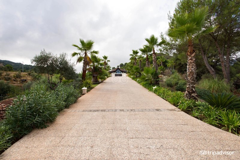 Shanti-Som Wellbeing Retreat