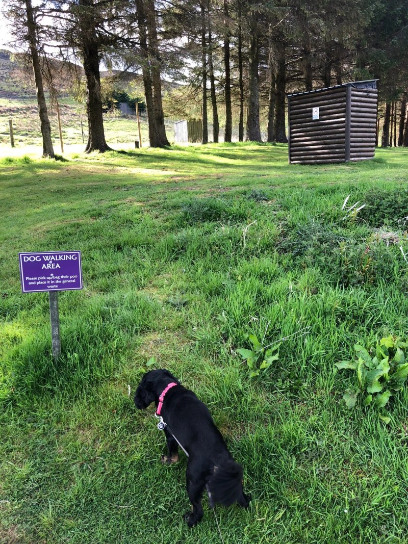 Glengoulandie Camping & Caravanning