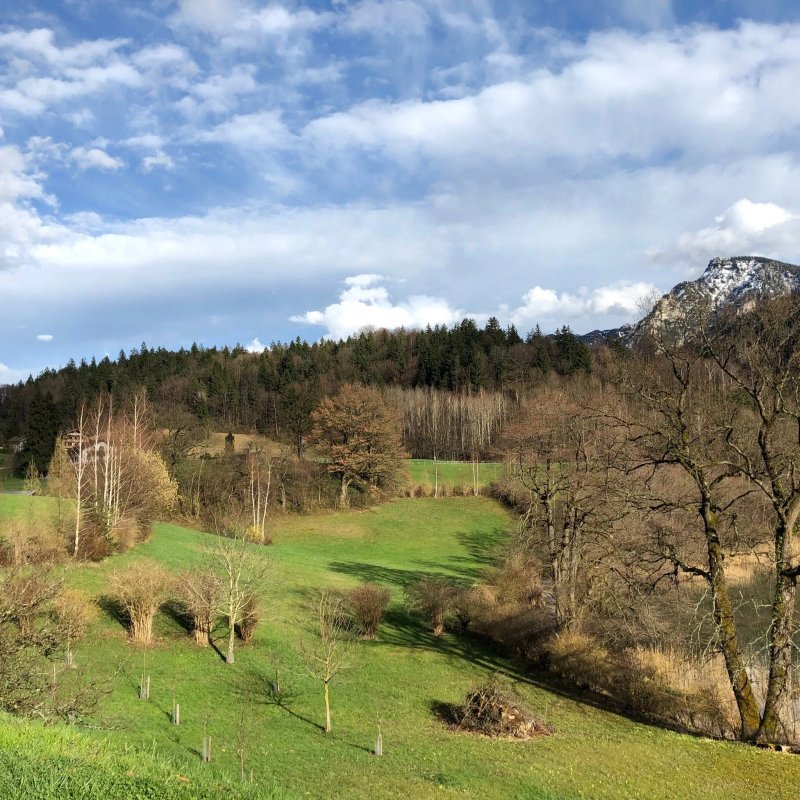 Pension Hubertus