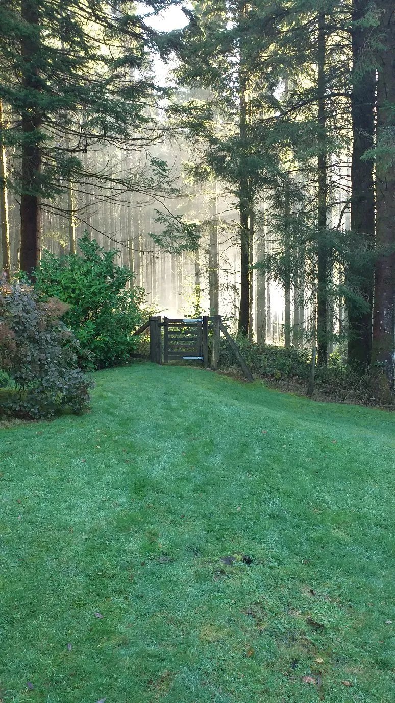 Trallwm Forest Cottages