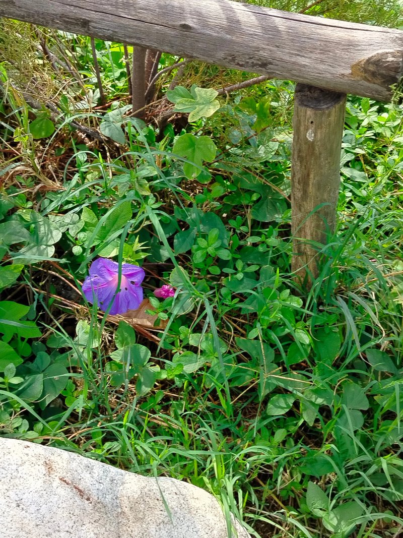 B&B Benvenuti Al Sud