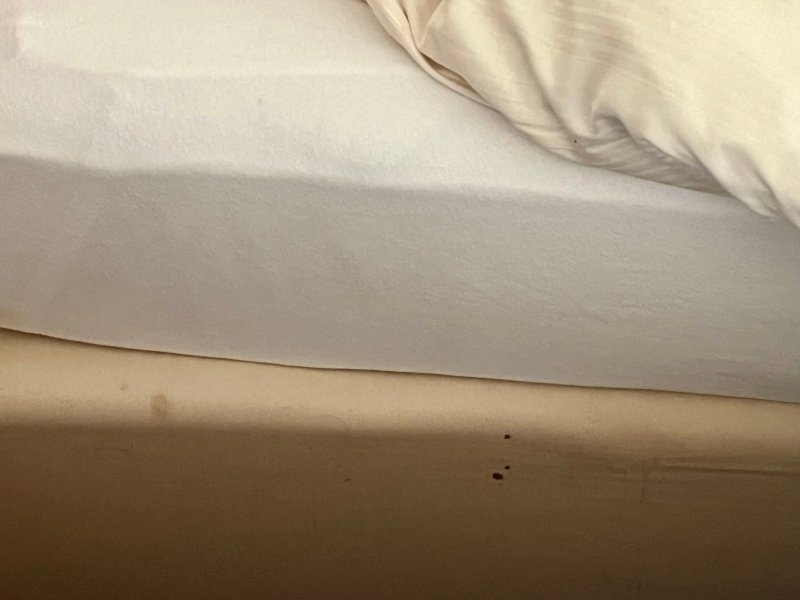Hotel am Waldbad