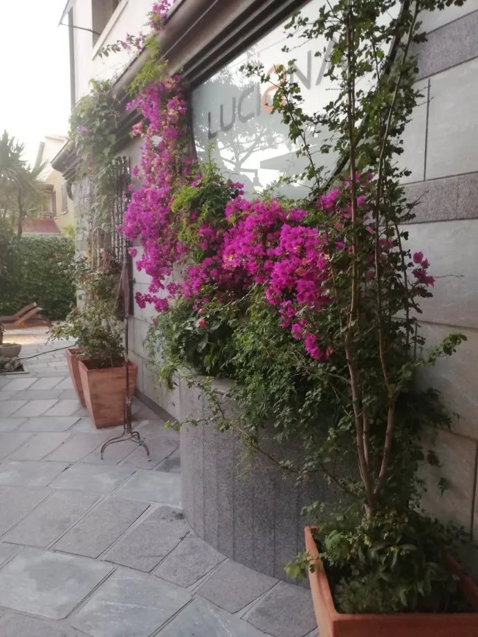 Hotel Luciana