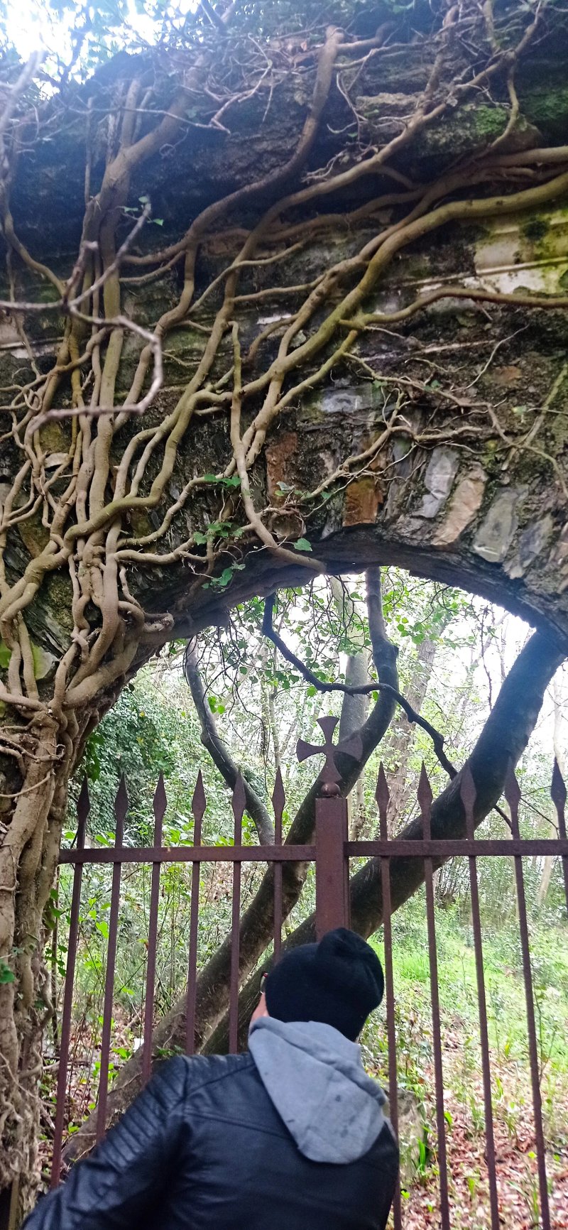 Cimitero Abbandonato Di Molassana