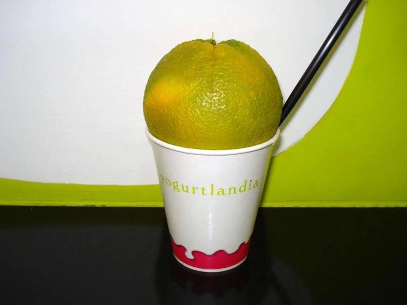 Yogurtlandia I Portali