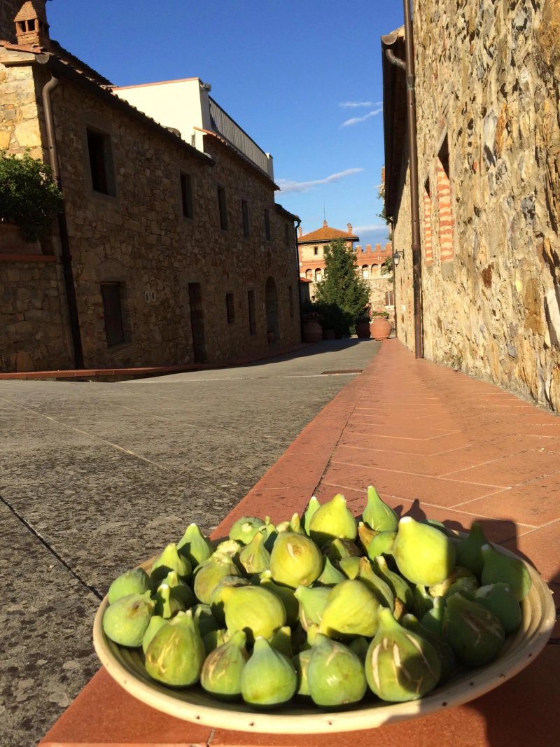 Tenuta di Lupinari