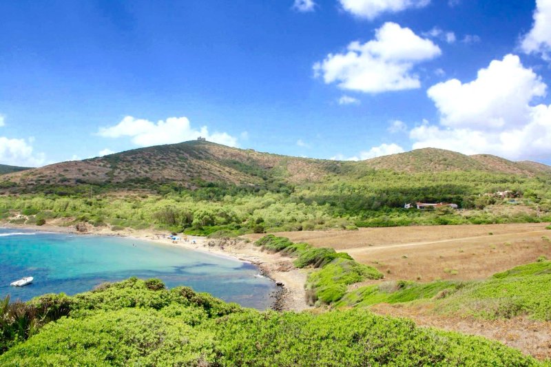 Ibisco Farm