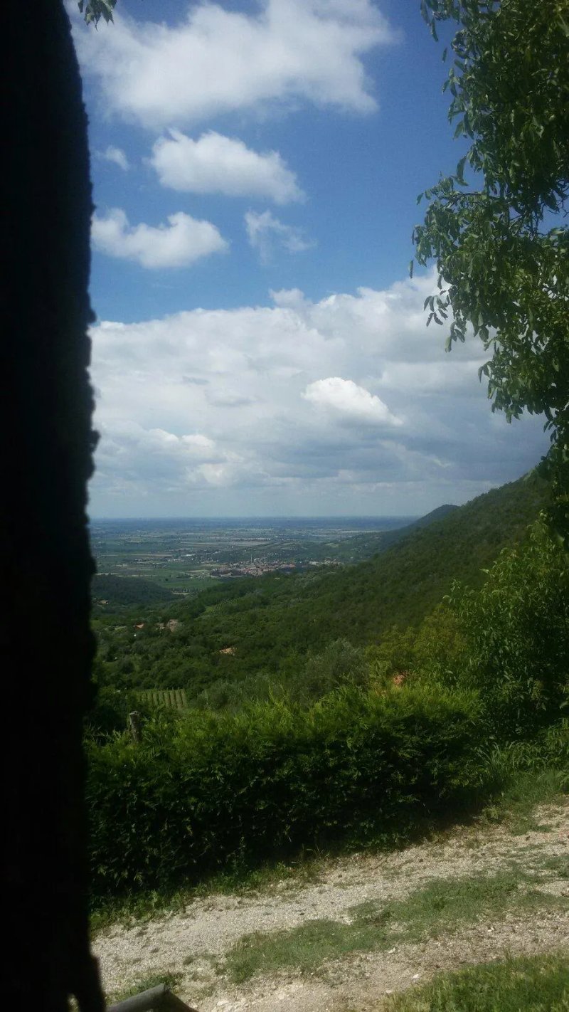 Agriturismo Alto Venda