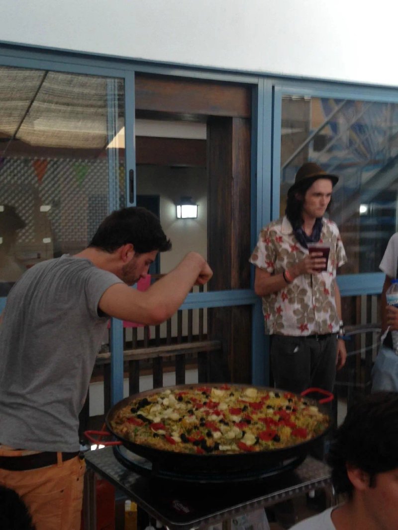 Cats Hostels