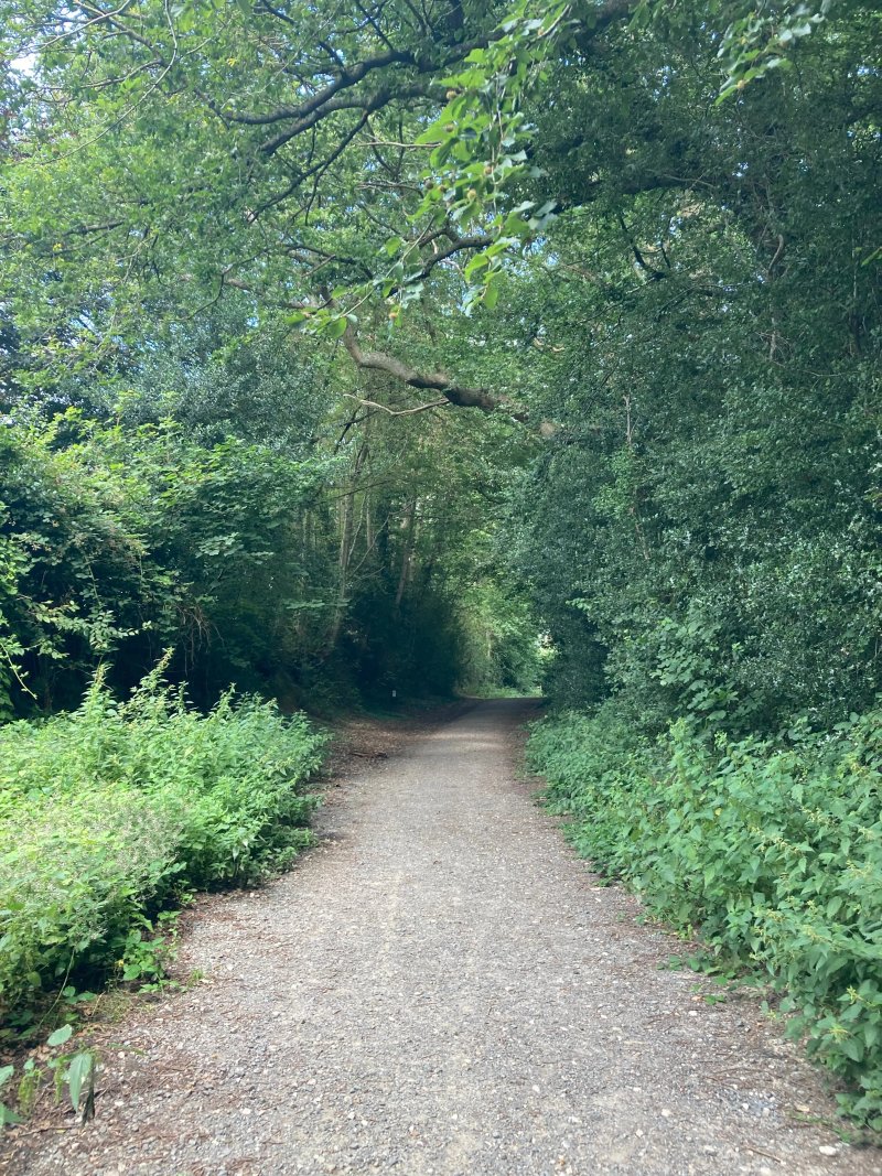 Angley Wood