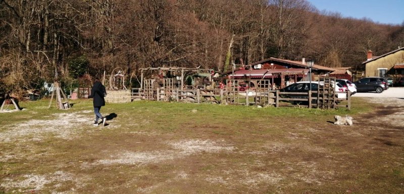 La Locanda nel Bosco