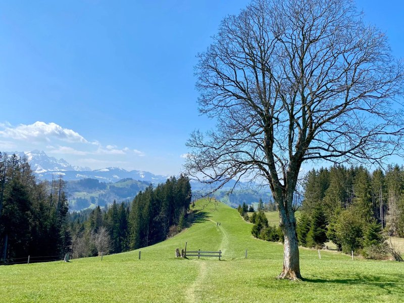 Idyllhotel Appenzellerhof