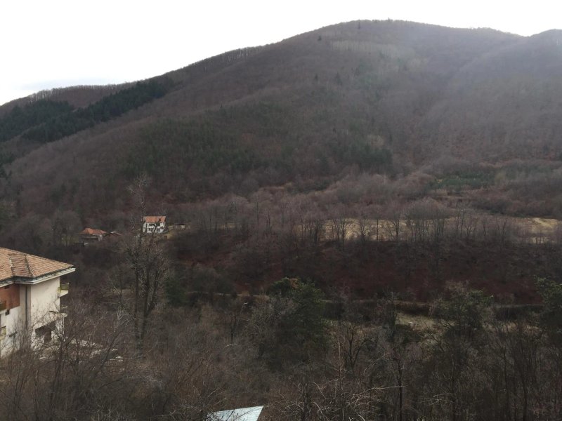 Rila Guesthouse