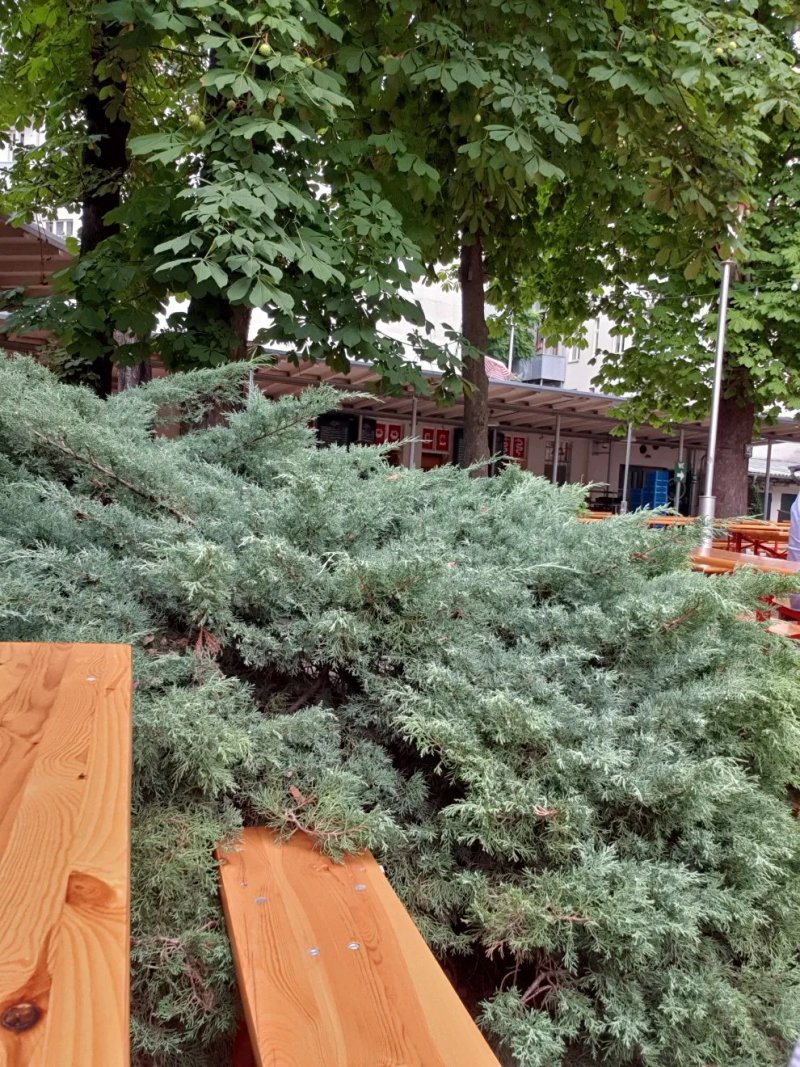 Prater Gaststatte