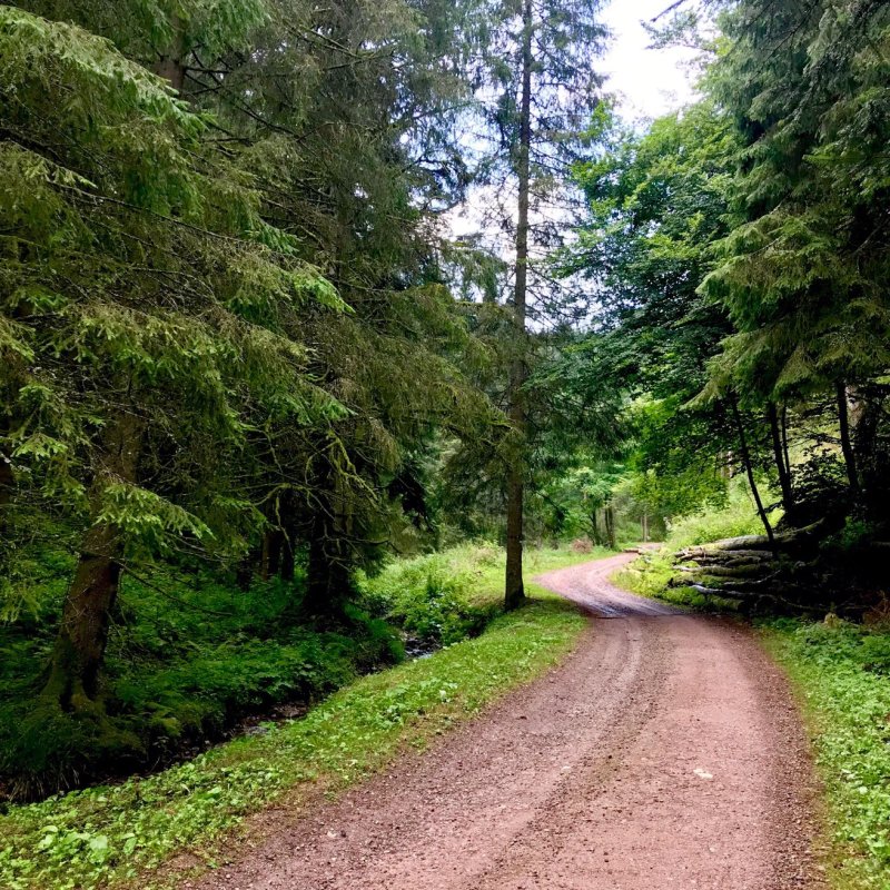 Camping Municipal Kaysersberg