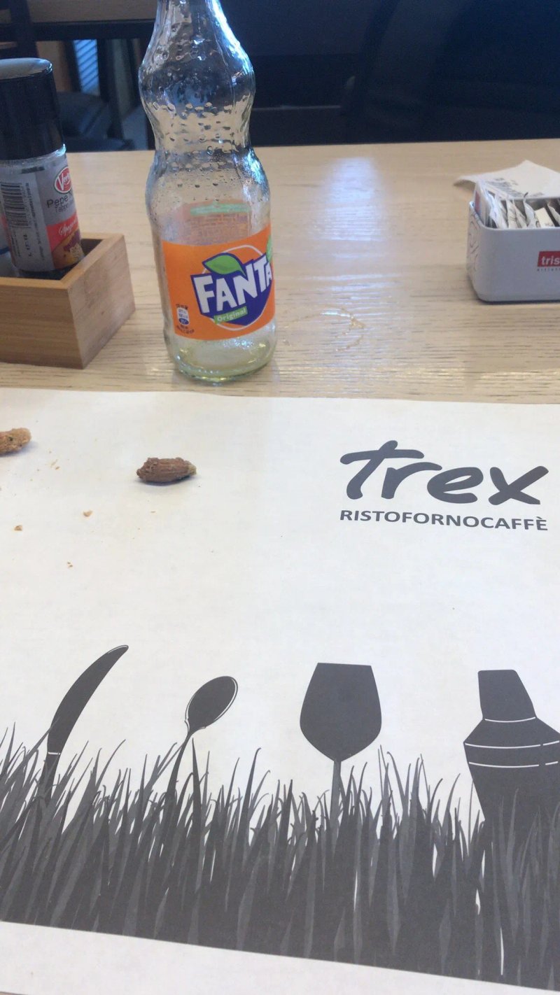 Trex