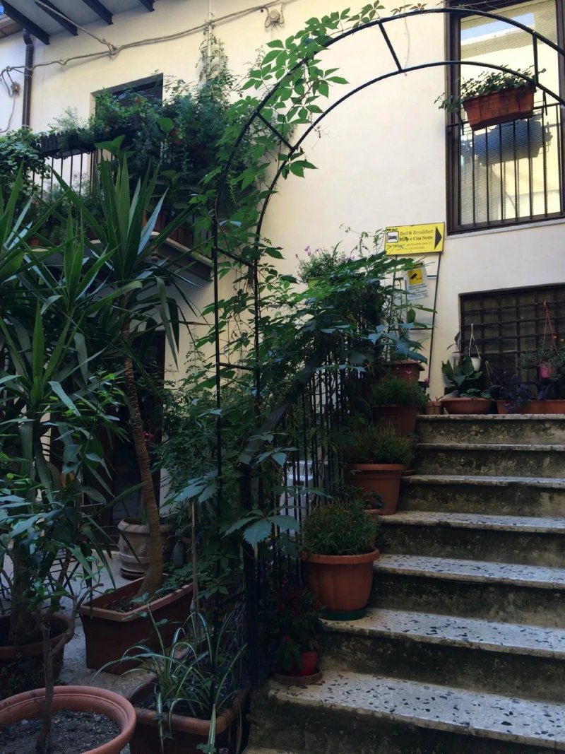 Mille e Una Notte
