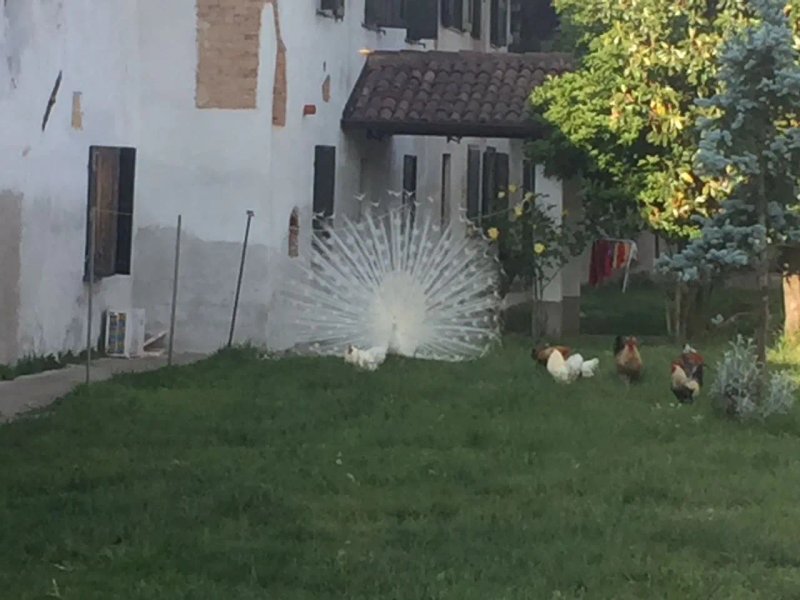 Agriturismo La Crivella