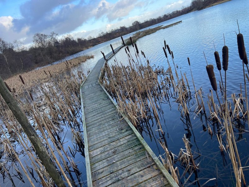 Otter Tarn