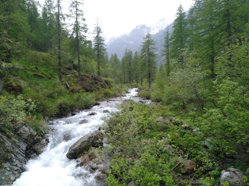 Agriturismo Alagna Farm Holiday