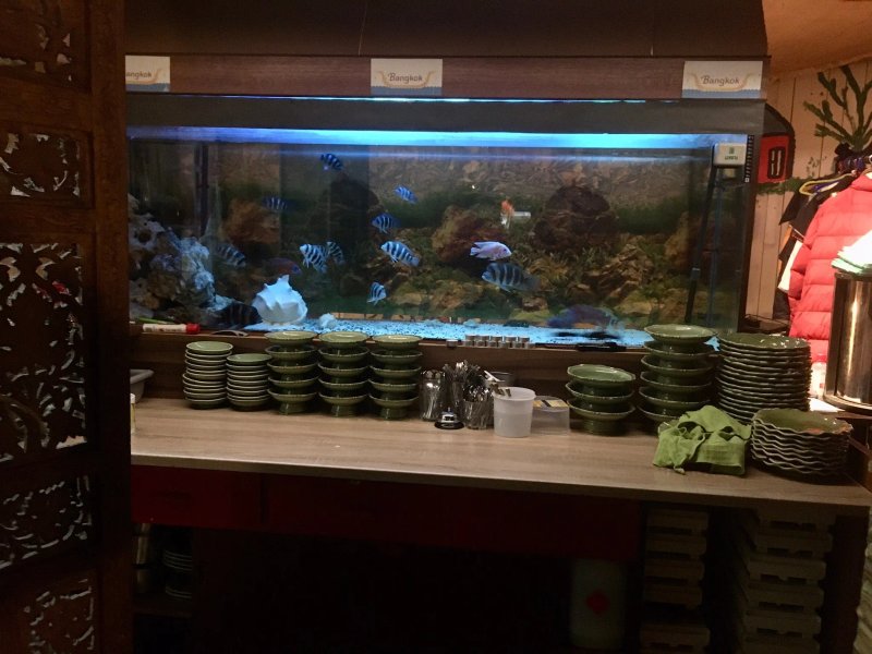 Bangkok Thai Restaurant