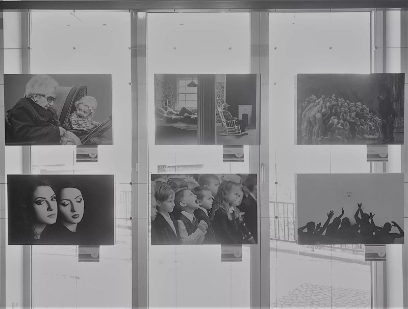 Hartlauer Fotogalerie