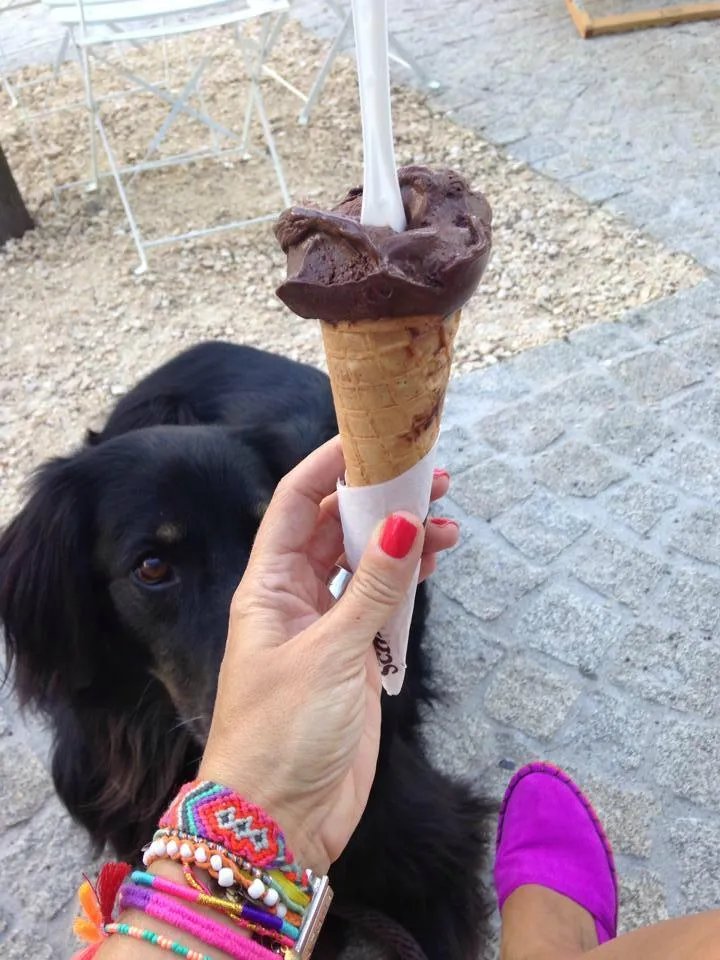 Schokolato Bar Gelateria