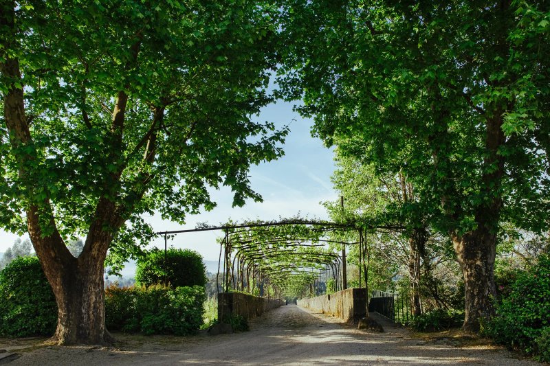 Quinta da Bouca d'Arques