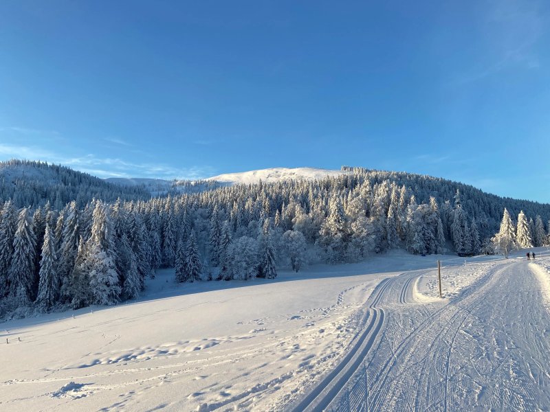 Hotel Zartenbach B&b