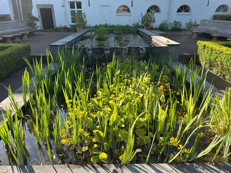 Buitenplaats Vaeshartelt