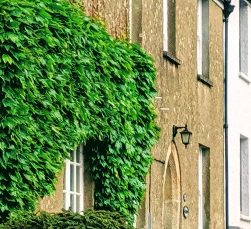 Drake Manor Inn