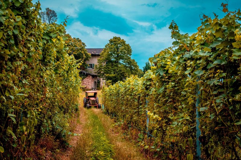 Agritur Mas dei Chini