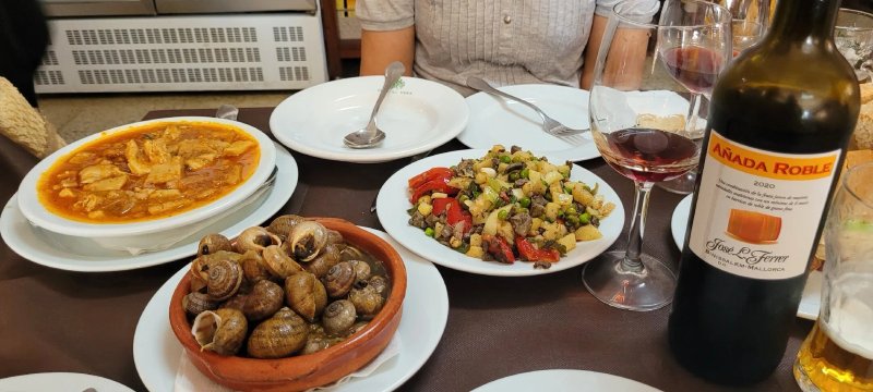 Celler Sa Vinya
