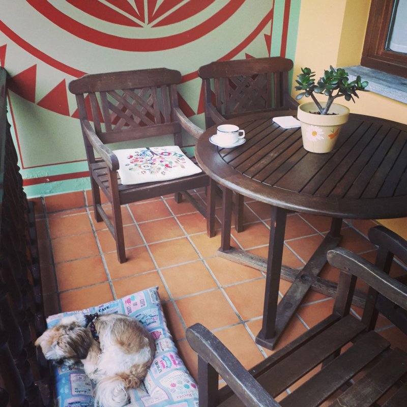 Camin de Pelayo