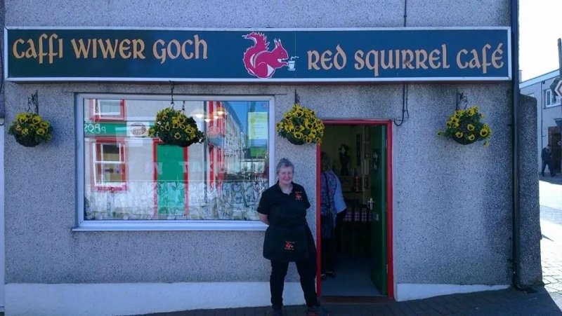 Caffi Wiwer Goch - Red Squirrel Café