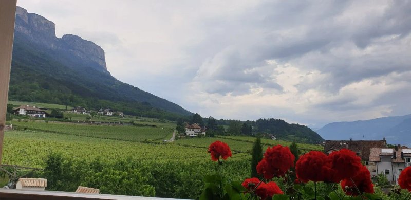 Weinberghof
